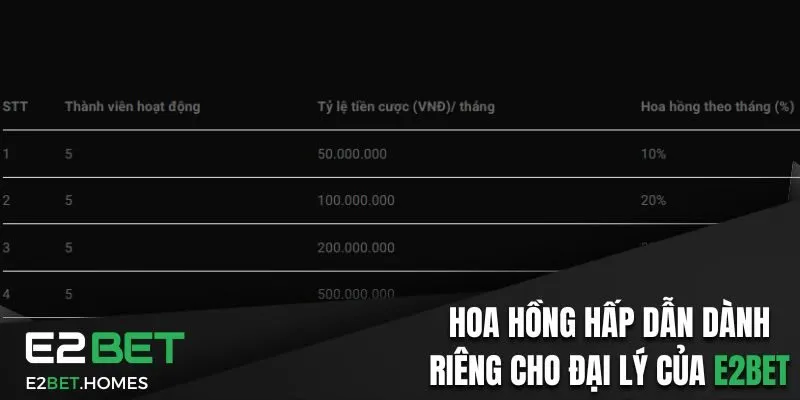 Hoa hồng hấp dẫn dành riêng cho đại lý của E2bet