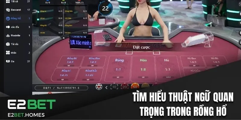 Tìm hiểu thuật ngữ quan trọng trong Rồng Hổ